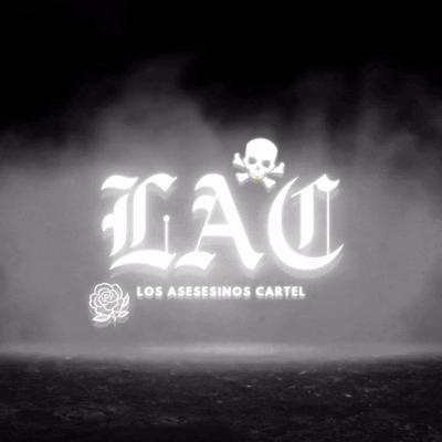 Discovery splash banner for 『LAC』 Discord server