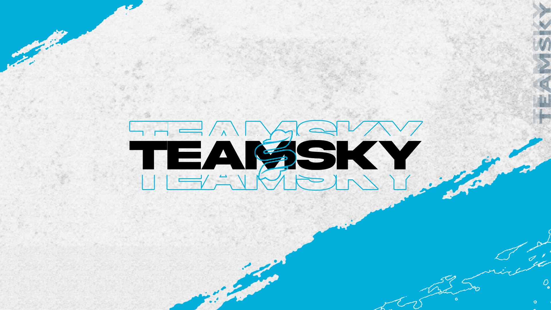 Discovery splash banner for Team Sky Discord server