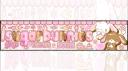Discovery splash banner for 𐂯  ．ノsugarbunnies  ．#rt2k Discord server