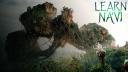 Discovery splash banner for LearnNavi.org Community Discord server