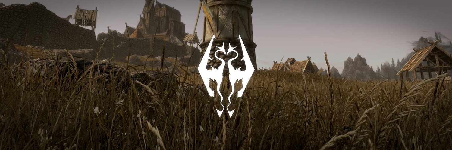 Discovery splash banner for Skyrim Together Discord server