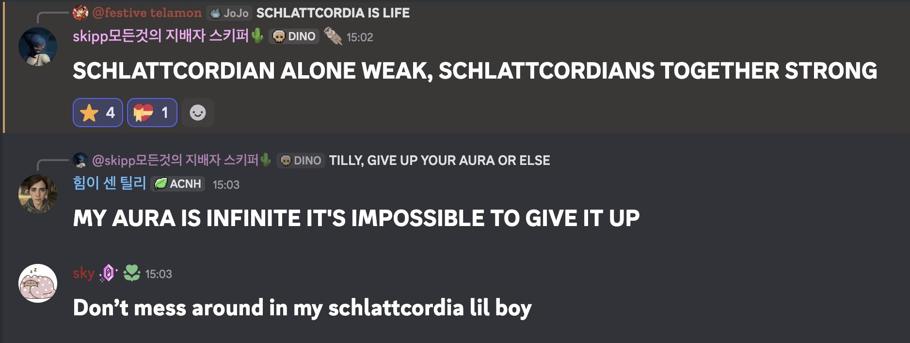 Discovery splash banner for schlattcordia Discord server