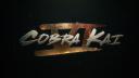Discovery splash banner for Cobra Kai Discord server