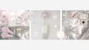 Discovery splash banner for 🍥 、  meiko　⟡  guilds　⟡  gws　⟡  social　⟡  active　⟡  decor Discord server