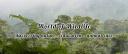 Discovery splash banner for World of Wildlife 🌲 Discord server
