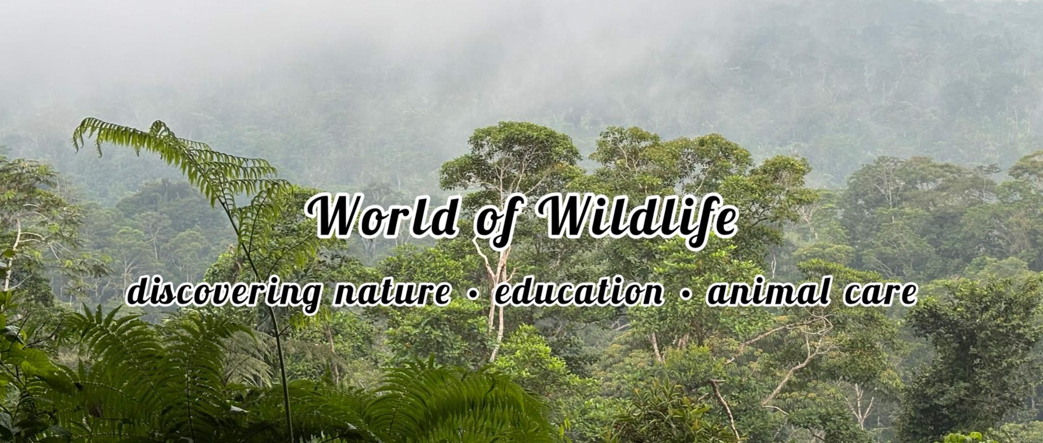 Discovery splash banner for World of Wildlife š² Discord server