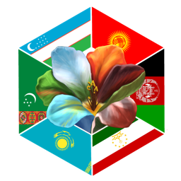 Discovery icon for Central Asian Community Discord server