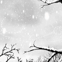 Discovery icon for ❄ /snowed · gws · active · vc (13+) Discord server